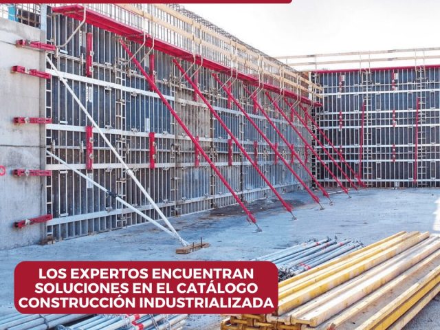 Sistema de encofrado Alisply | Alsina